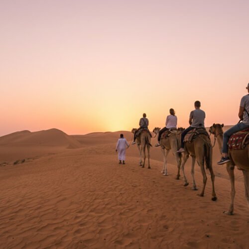 Una carovana di cammelli attraversa le dune di sabbia dorata del deserto di Wahiba Sands durante un suggestivo tramonto, Oman