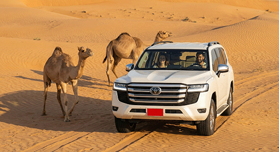 Itinerario di viaggio self-drive e fly & drive in Oman