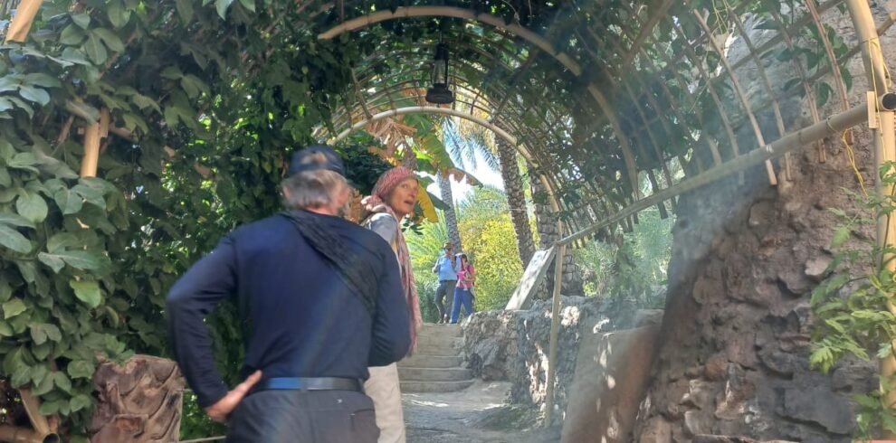 Un percorso guidato tra le coltivazioni di datteri, i frutteti terrazzati e gli antichi canali falaj durante il Misfah Agricultural Tour in Oman.