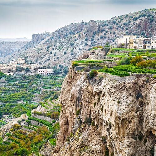 I tradizionali giardini terrazzati coltivati a ridosso delle spettacolari pareti rocciose di Jebel Akhdar, sulle montagne dell'Hajar in Oman.