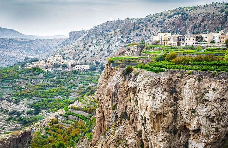 I tradizionali giardini terrazzati coltivati a ridosso delle spettacolari pareti rocciose di Jebel Akhdar, sulle montagne dell'Hajar in Oman.