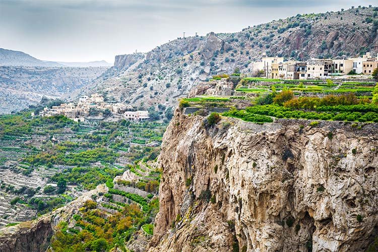 I tradizionali giardini terrazzati coltivati a ridosso delle spettacolari pareti rocciose di Jebel Akhdar, sulle montagne dell'Hajar in Oman.