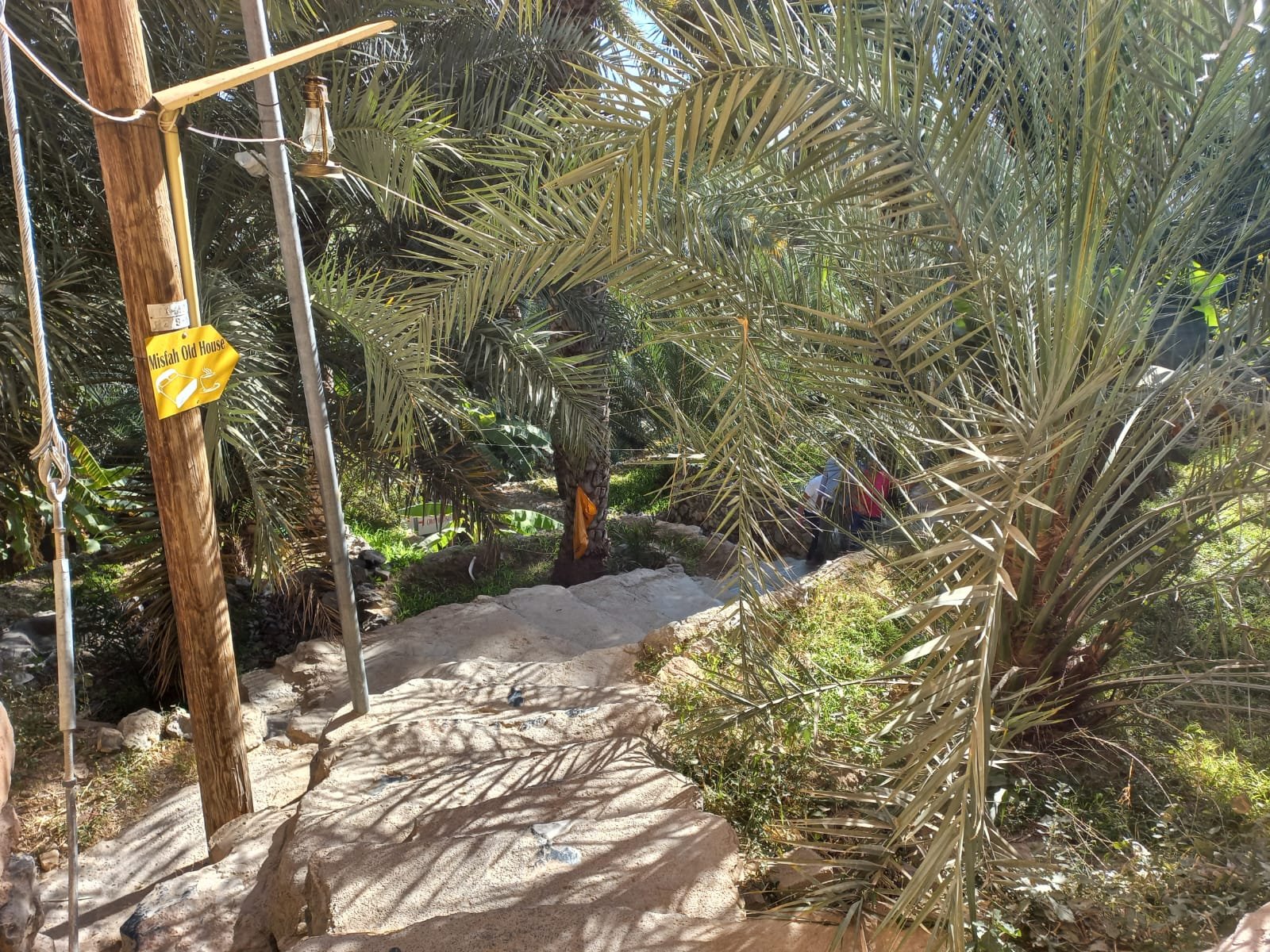Sentiero tra le palme nel villaggio di Misfah
