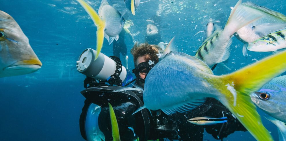 Subacqueo circondato da pesci a Musandam