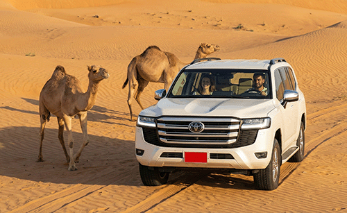 Een koppel rijdt in een 4x4 terreinwagen door de zandduinen van de Wahiba-woestijn tijdens een self-drive rondreis in Oman