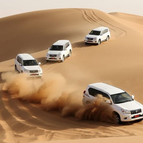 Exclusief Dune Bashing in de Wahiba Sands