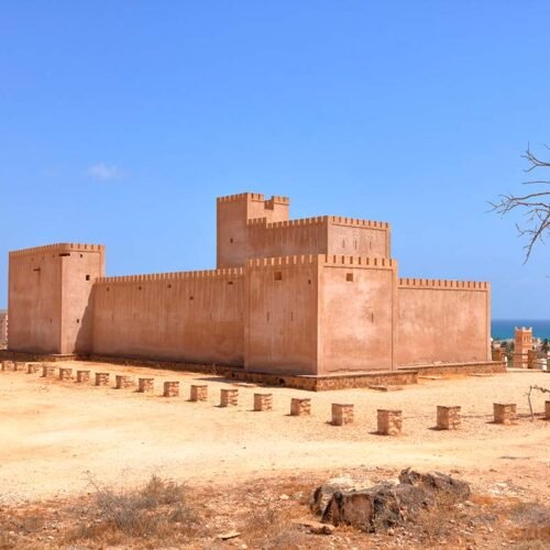 Exclusieve Halve Dagtour door Oost-Salalah
